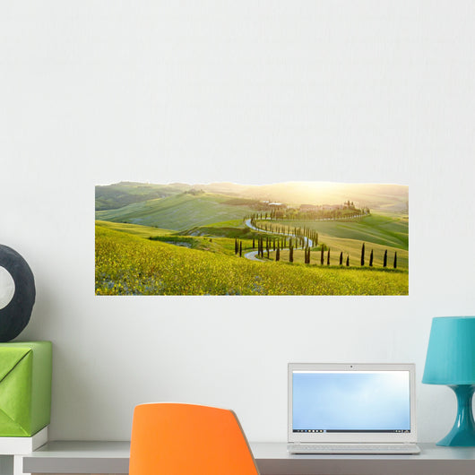 Sunny fields in Tuscany, Italy Wall Decal