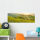 Sunny fields in Tuscany, Italy Wall Decal