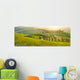 Sunny fields in Tuscany, Italy Wall Decal