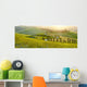 Sunny fields in Tuscany, Italy Wall Decal