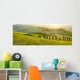 Sunny fields in Tuscany, Italy Wall Decal