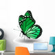 Green monarch butterfly Wall Decal