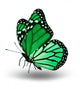 Green monarch butterfly Wall Decal