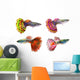 Beautiful Guppy Fish Wall Decal