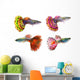 Beautiful Guppy Fish Wall Decal
