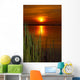 Sunset Wall Decal