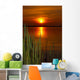 Sunset Wall Decal