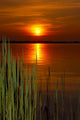 Sunset Wall Decal