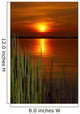 Sunset Wall Decal