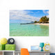 Mauritius island Wall Decal