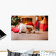 Christmas Jack Russell Terrier in a Santa Hat Wall Decal