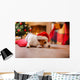 Christmas Jack Russell Terrier in a Santa Hat Wall Decal