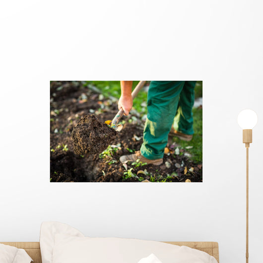 Gardening - man digging the garden soil with a spud Wall Decal