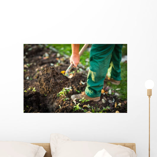 Gardening - man digging the garden soil with a spud Wall Decal