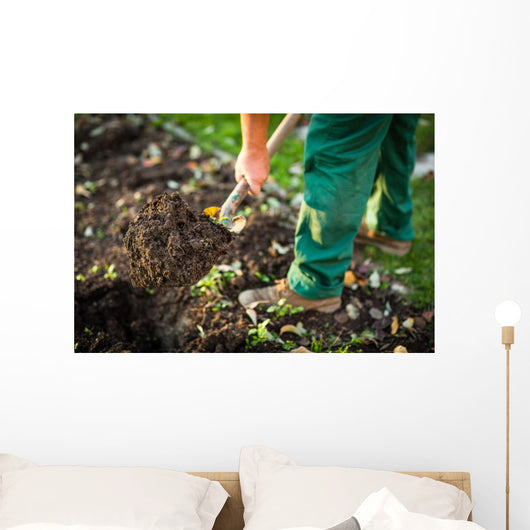 Gardening - man digging the garden soil with a spud Wall Decal