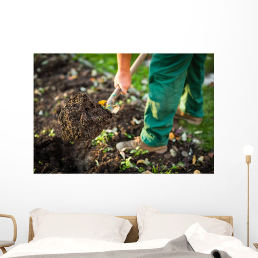 Gardening - man digging the garden soil with a spud Wall Decal