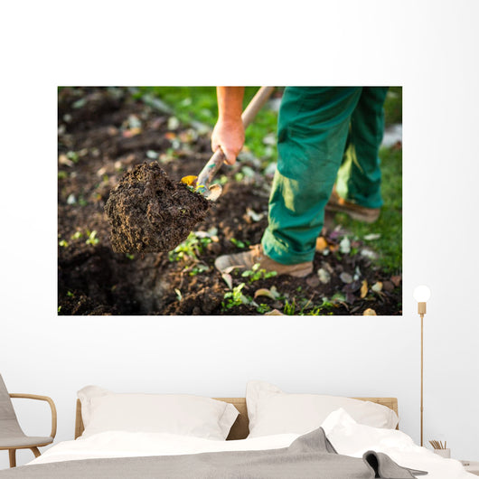Gardening - man digging the garden soil with a spud Wall Decal
