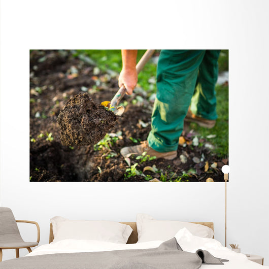 Gardening - man digging the garden soil with a spud Wall Decal