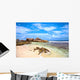 Granite Rock Anse Pierrot Wall Decal