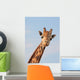 Giraffe Looking Wall Decal