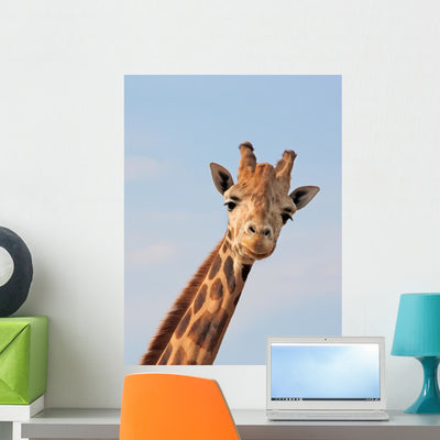 Giraffe Looking Wall Decal shown on a wall
