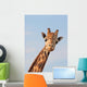 Giraffe Looking Wall Decal