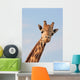 Giraffe Looking Wall Decal