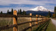 Ranch Fence Row Countryside Rural California Mt Shasta Wall Decal