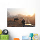 Safari im Morgengrauen Wall Decal