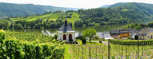 Krov Der Mosel Panorama Wall Decal