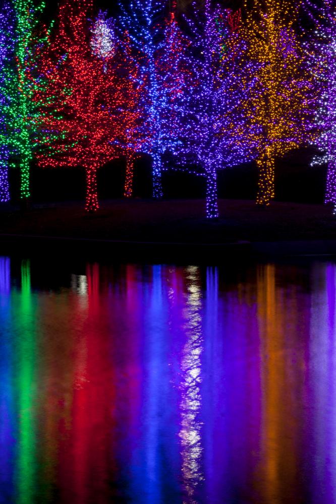 Trees Tightly Wrapped In Led Lights For The Christmas Holidays R Wall ...