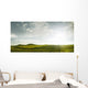 grape rows Wall Decal