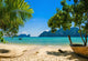 Exotic beach with palms and boats on azure water, Phi Phi Island Wall Decal