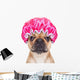 shower dog Wall Decal