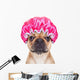 shower dog Wall Decal