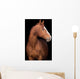 Chestnut Horse Head Black Wall Decal