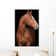 Chestnut Horse Head Black Wall Decal