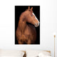 Chestnut Horse Head Black Wall Decal
