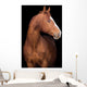 Chestnut Horse Head Black Wall Decal