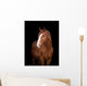 Chestnut horse head on black, close up. Wall Decal