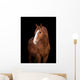 Chestnut horse head on black, close up. Wall Decal