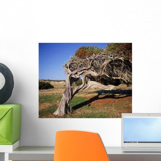 Bend Wall Decal