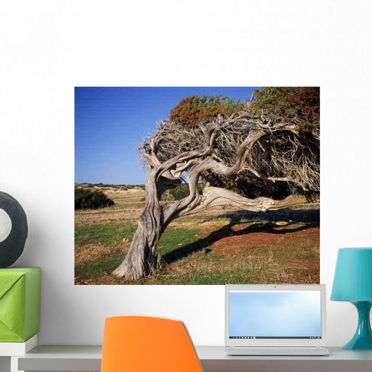 Bend Wall Decal