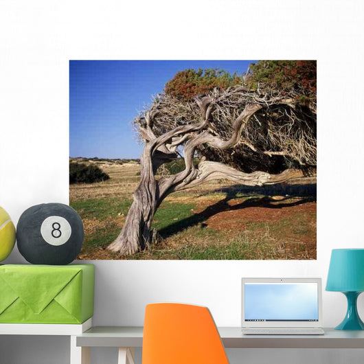 Bend Wall Decal