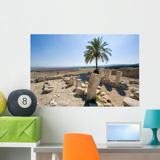 Tel Megiddo National park Wall Decal