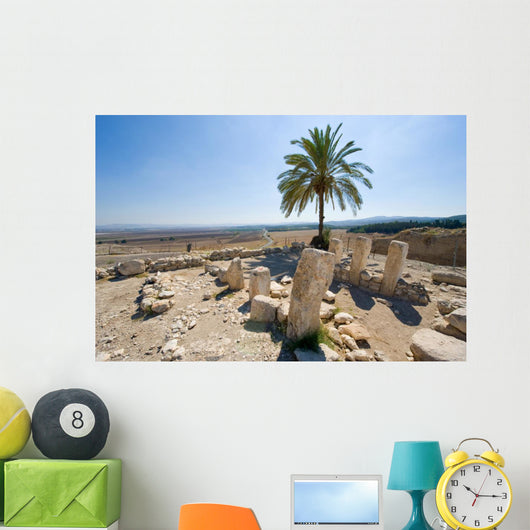 Tel Megiddo National park Wall Decal