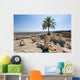 Tel Megiddo National park Wall Decal