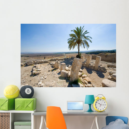 Tel Megiddo National park Wall Decal