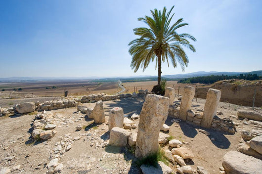 Tel Megiddo National park Wall Decal
