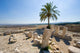 Tel Megiddo National park Wall Decal
